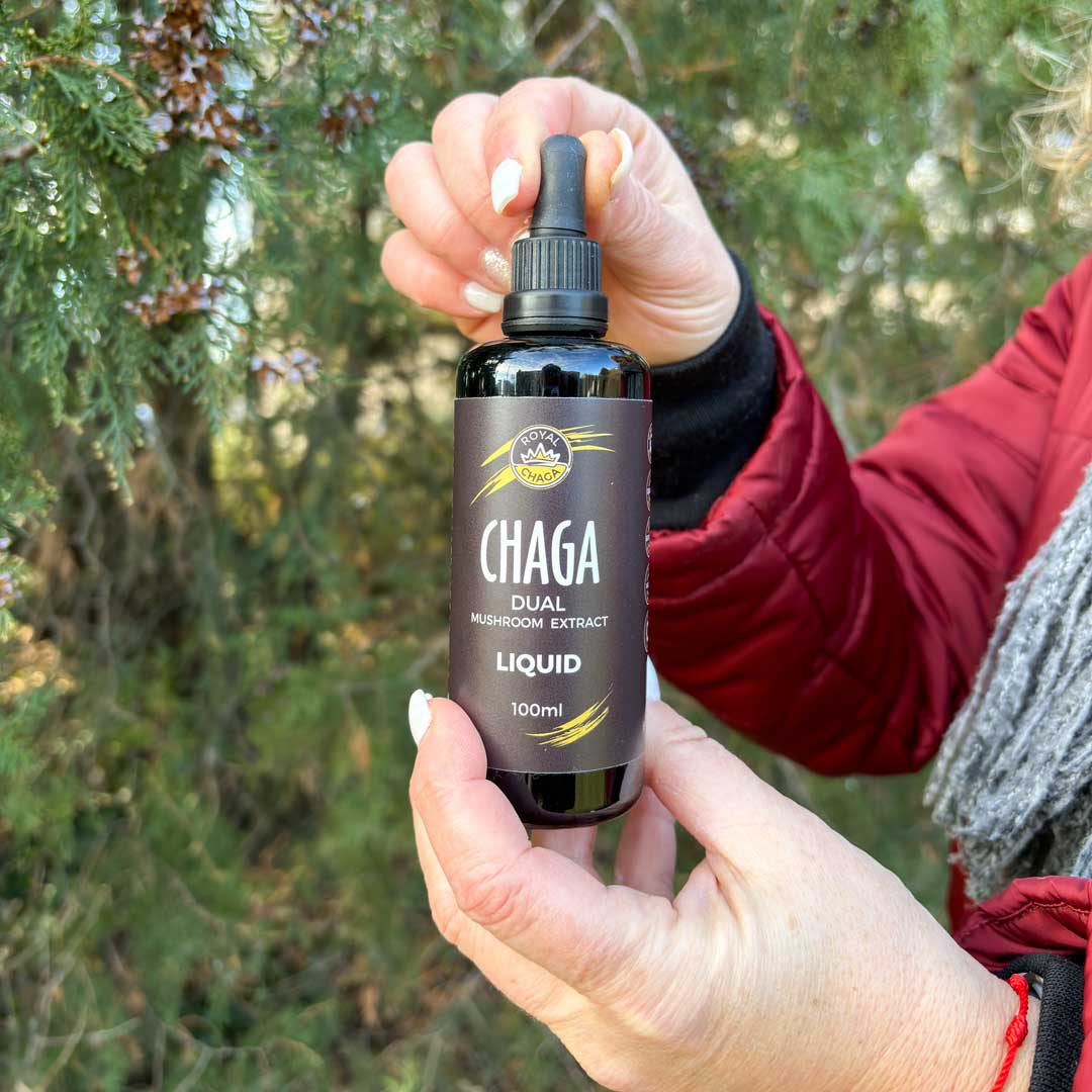 Chaga liquid